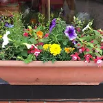 Feversham Lodge Guest House