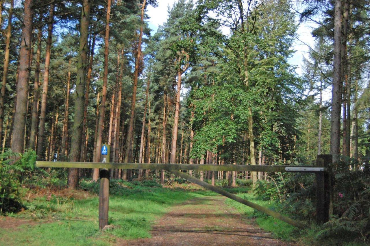 Hollicarrs - Honeycomb Lodge York