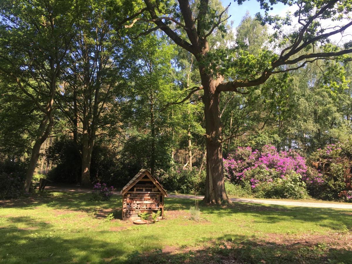 Hollicarrs - Honeycomb Lodge *