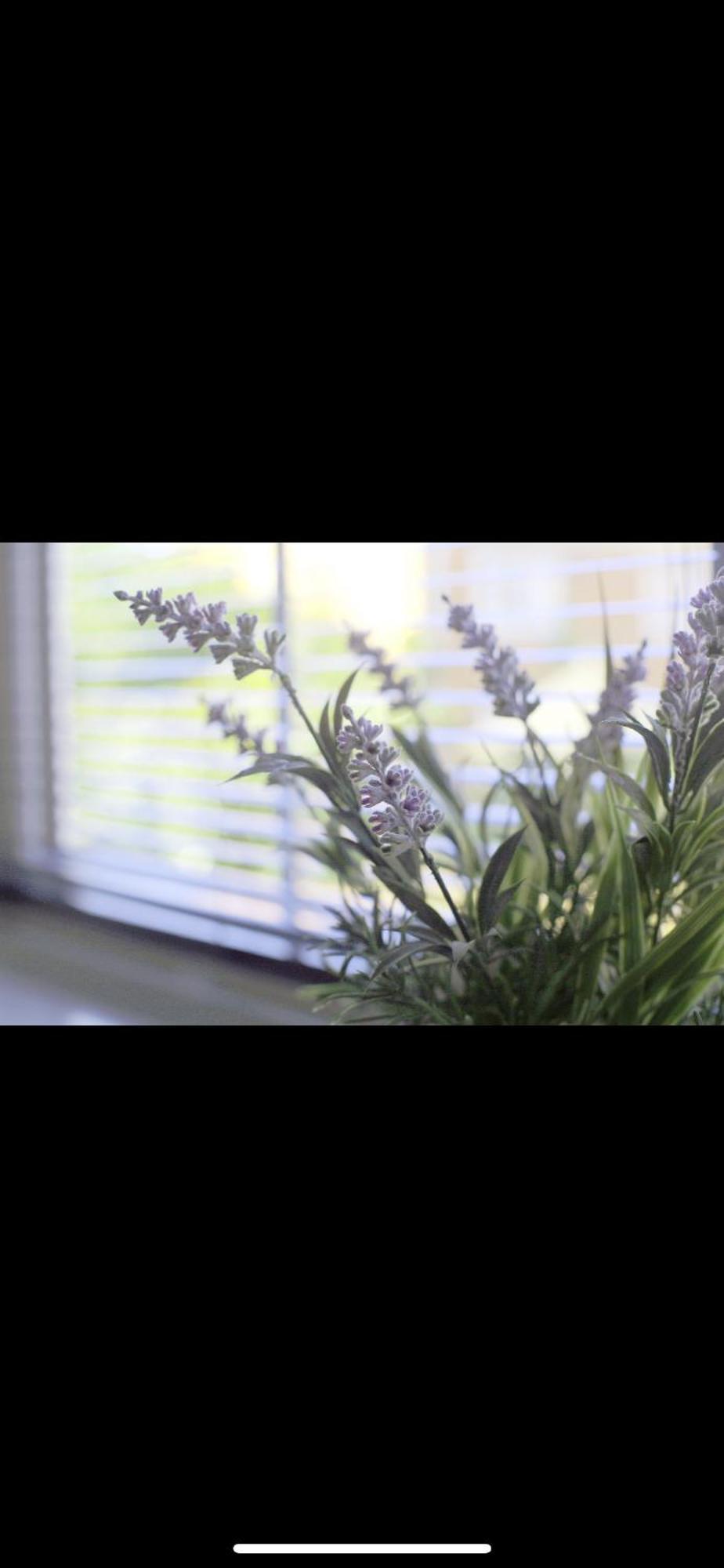 The Chic Haven Holiday home *