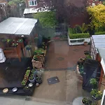 Rays Place