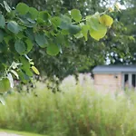 Luxury Shepherds Hut - The Sweet Pea By The Lake