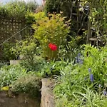 Picturesque Stone Cottage In The Heart Of North Yorkshire Village - Hideaway Cottage