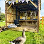 North Yorkshire Horse Box