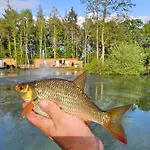 Cedar Boutique Lodge-Dog Fishing And Spa Access