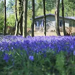 Hollicarrs - Wildflower Lodge