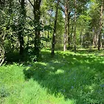Rowan Boutique Lodge For Couples With A Dog
