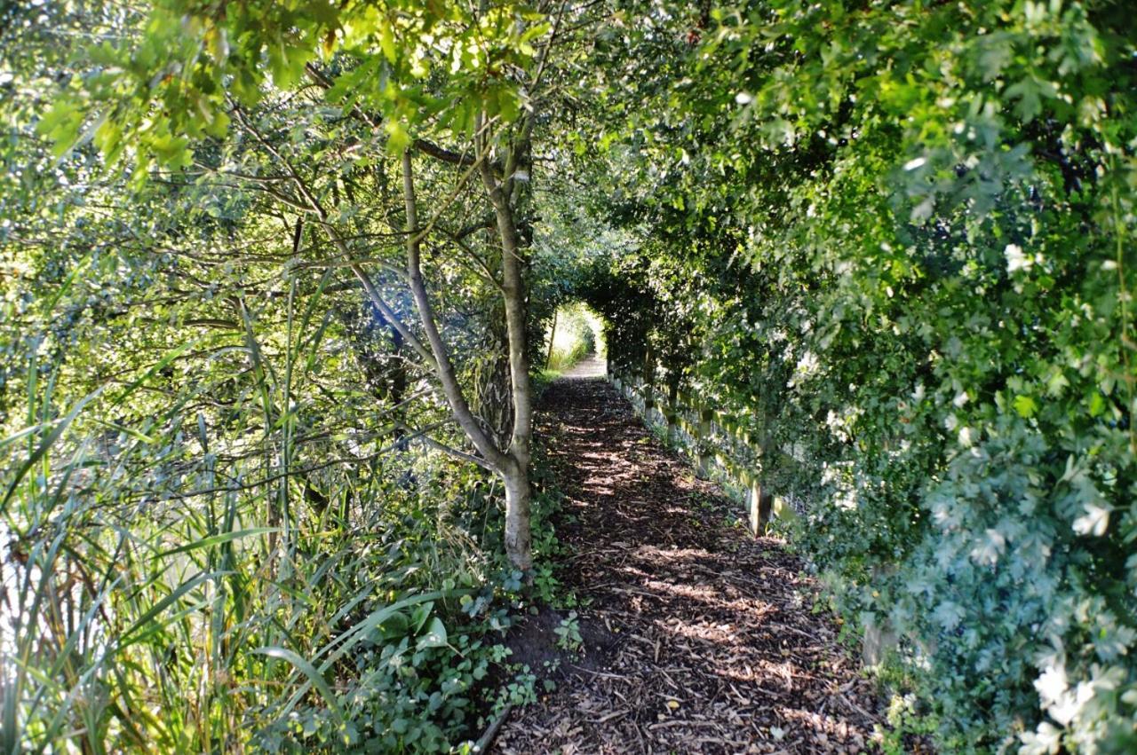Lodge Acorn Glade Glamping York