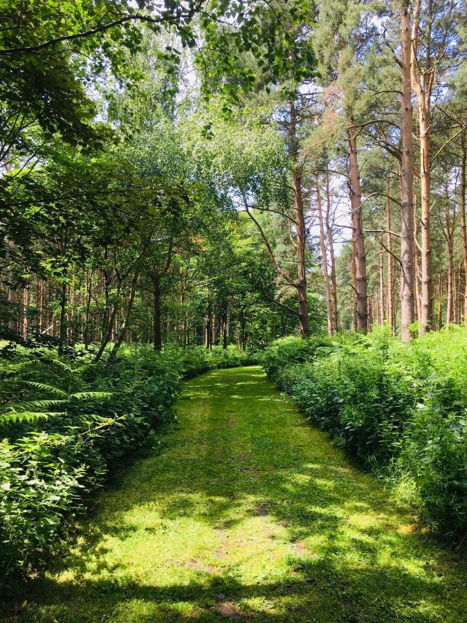 Lodge Hollicarrs - Forest Retreat York