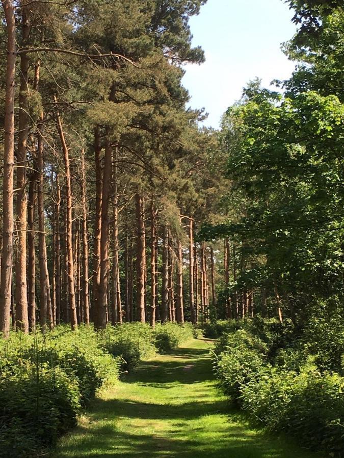 Hollicarrs - Forest Retreat Lodge York