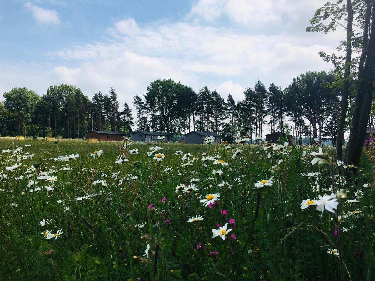 Holiday home Hollicarrs - Wildflower *