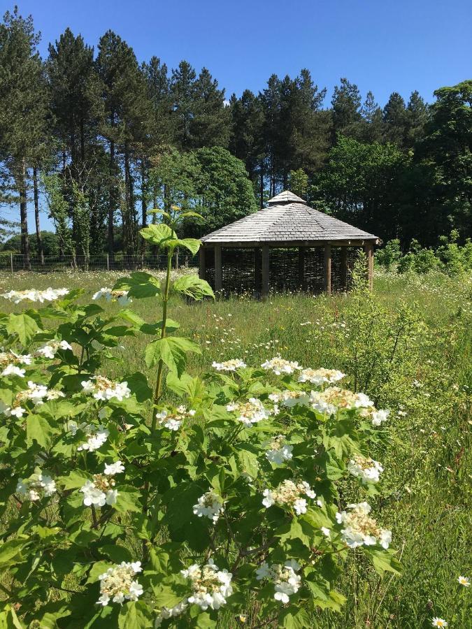 Hollicarrs - Wildflower York
