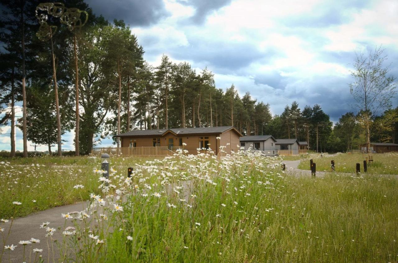 Hollicarrs - Dragonfly Lodge York