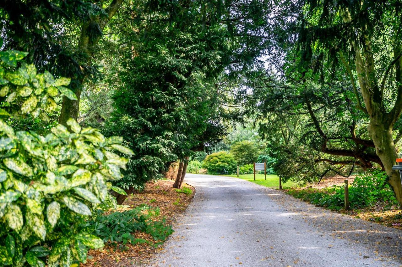 Holiday home Middlethorpe Manor - No 5 Lazy Days And Explore