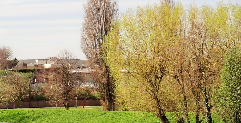 Apartment Alcuin York