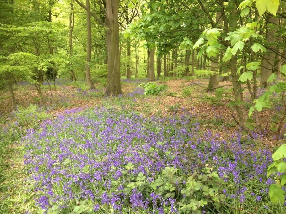 Beck Hill In Brandsby Holiday home *