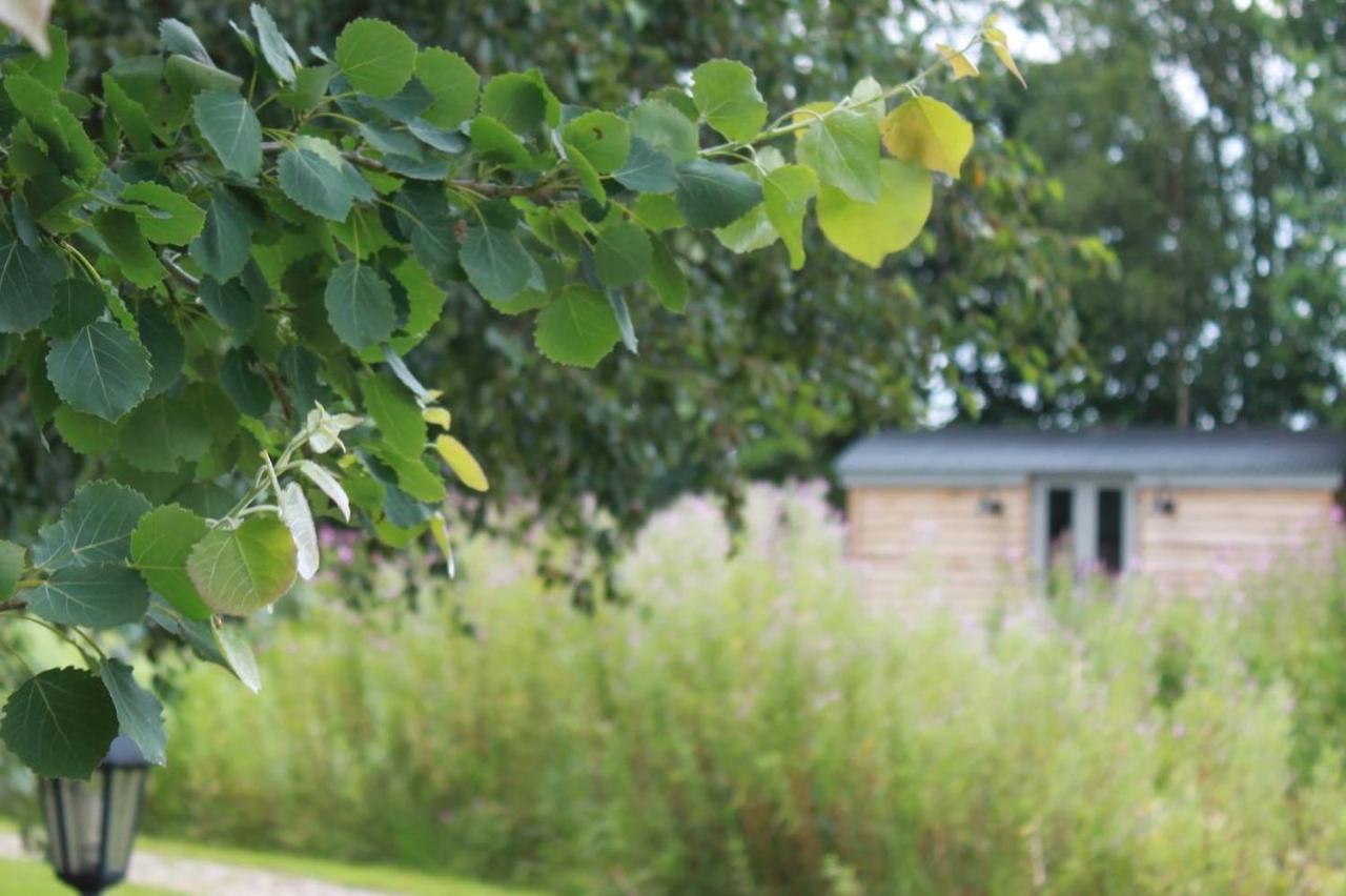 Campsite Luxury Shepherds Hut - The Moorhen By The