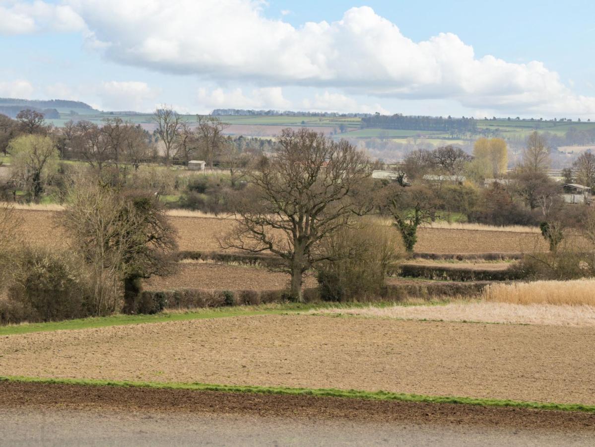 Shippon York