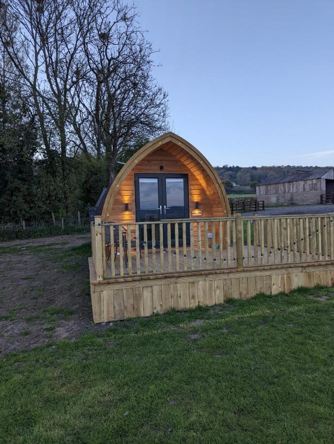 Luxury tent Ashberry Glamping York