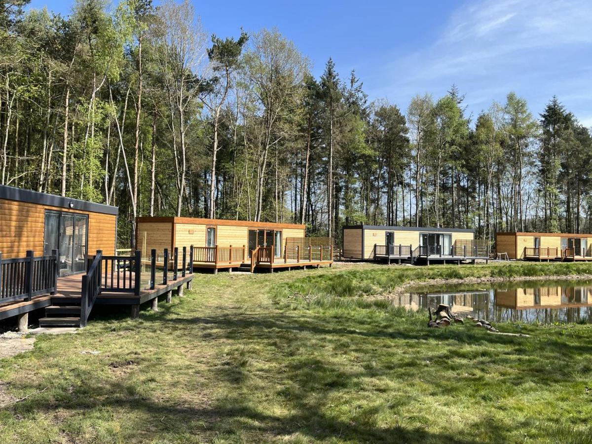 Holiday home Rowan Boutique For Couples With A Dog York