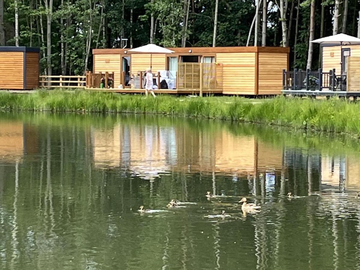 Cedar Boutique Lodge-dog Fishing And Access York
