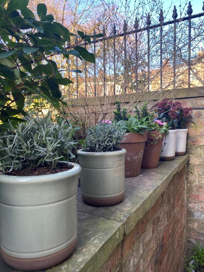 The Square Garden In For Up To 4 Guests * York