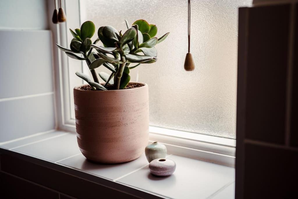 Artistic Hideaway Within York's Ancient Walls *
