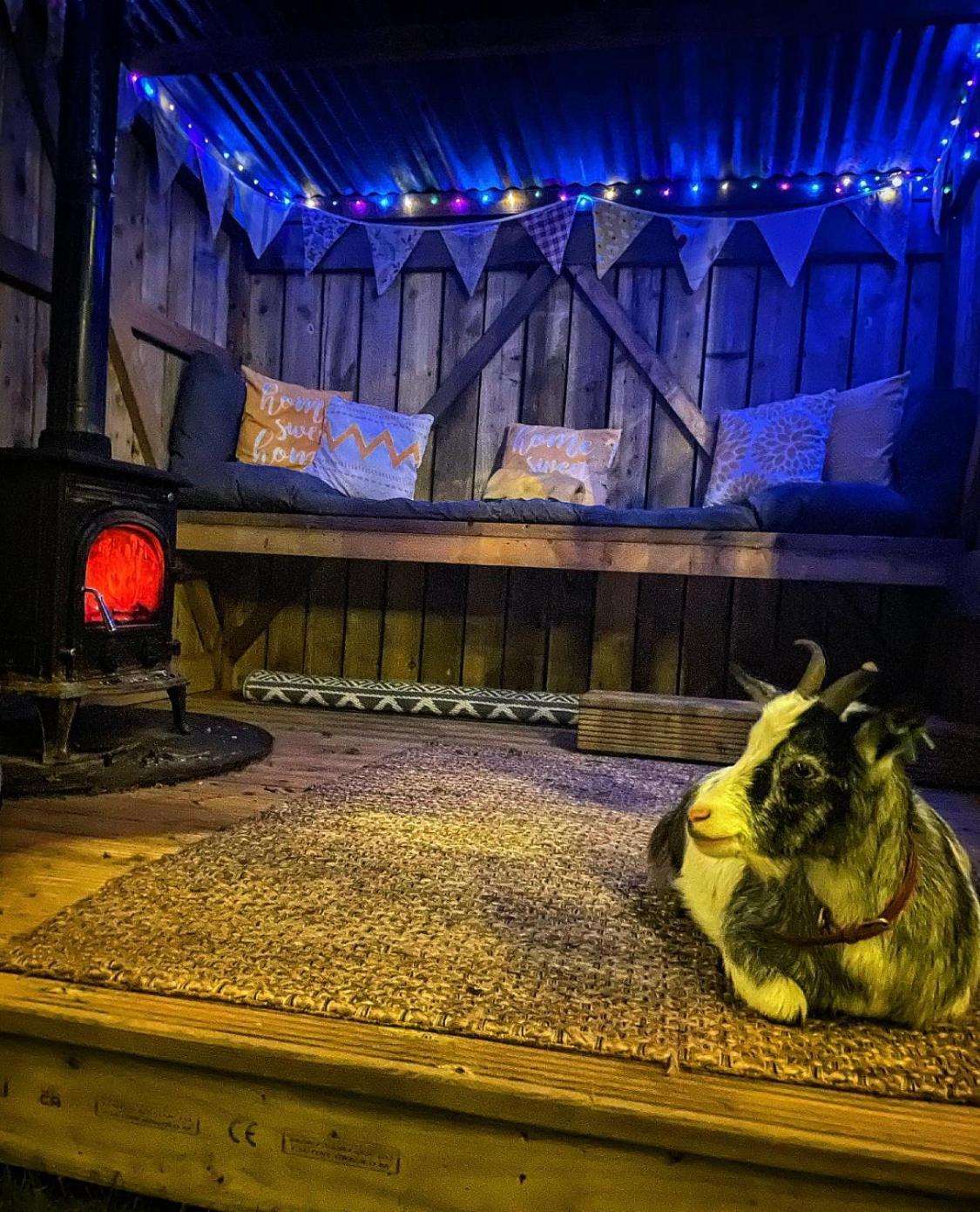 North Yorkshire Horse Box Luxury tent