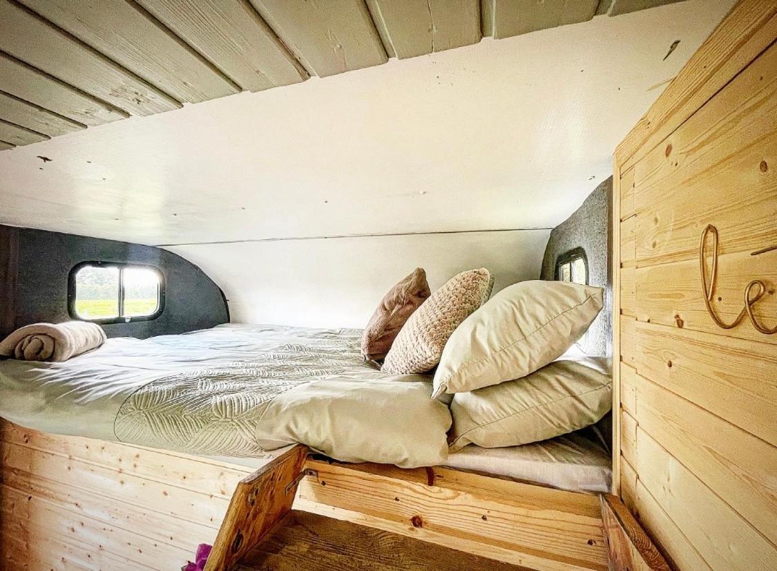 North Yorkshire Horse Box *