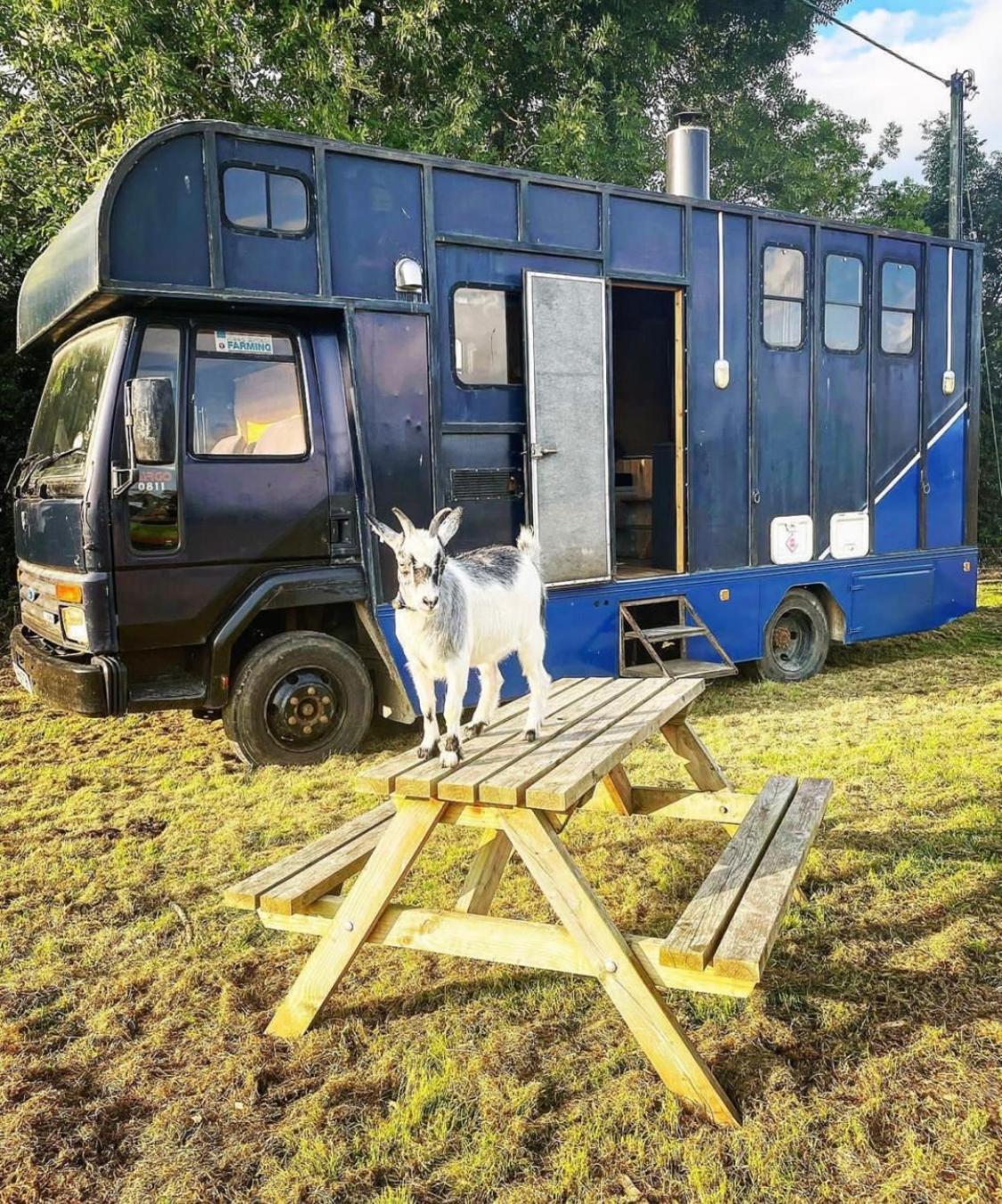 North Yorkshire Horse Box *