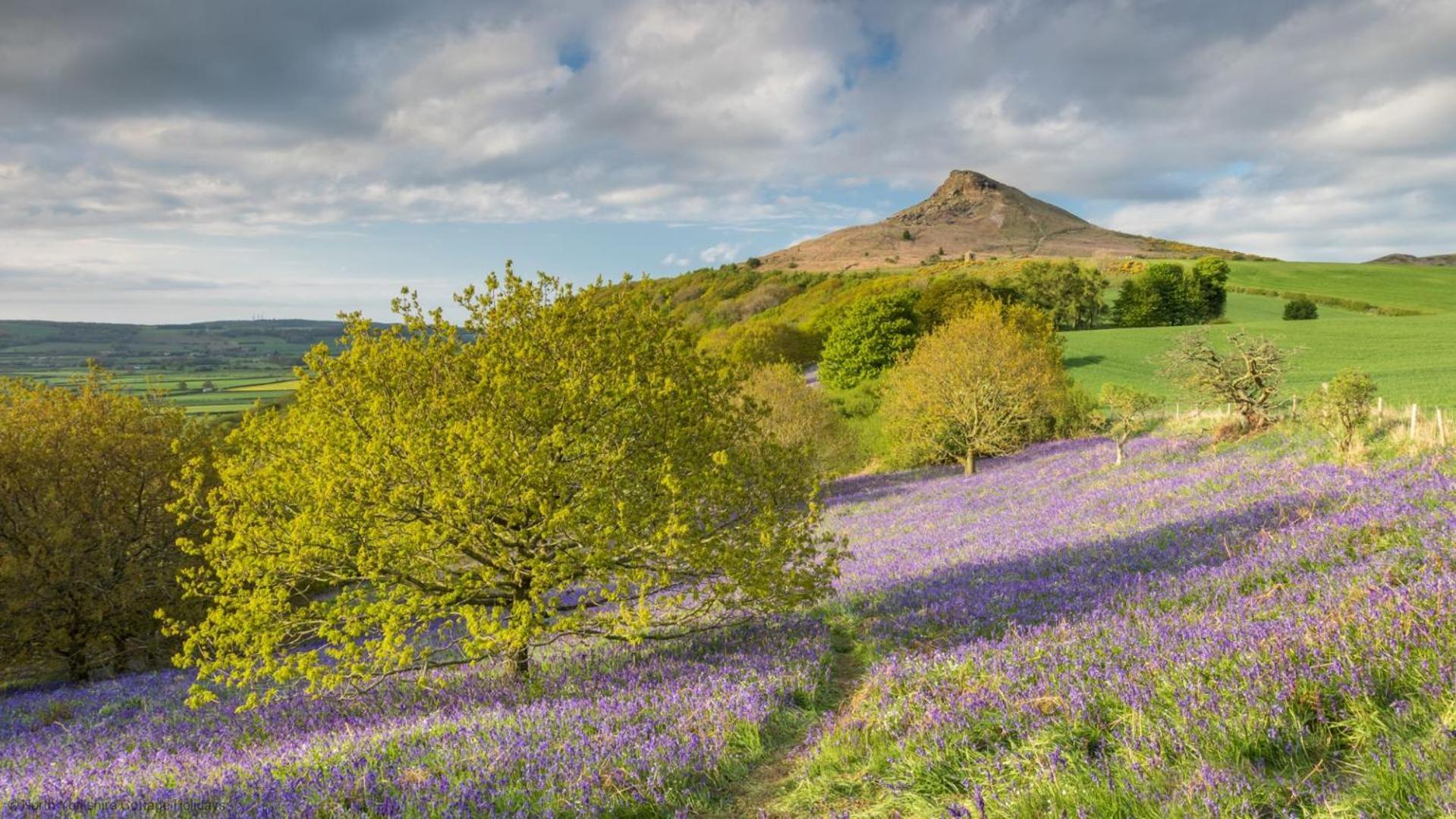 Picturesque Stone In The Heart Of North Yorkshire Village - Hideaway York