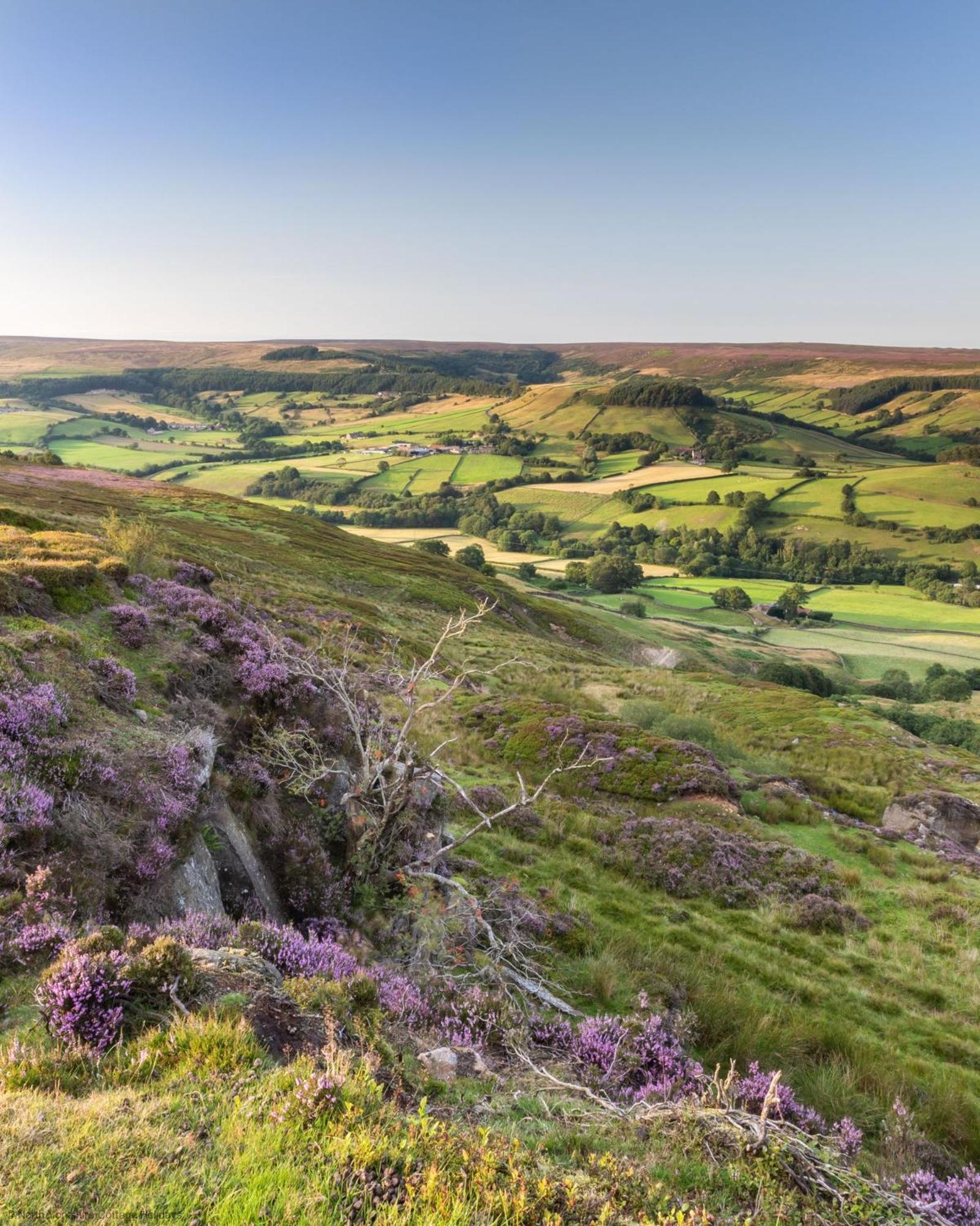 Picturesque Stone In The Heart Of North Yorkshire Village - Hideaway York