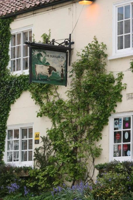Hawthorn In Crayke Yo61 4te York