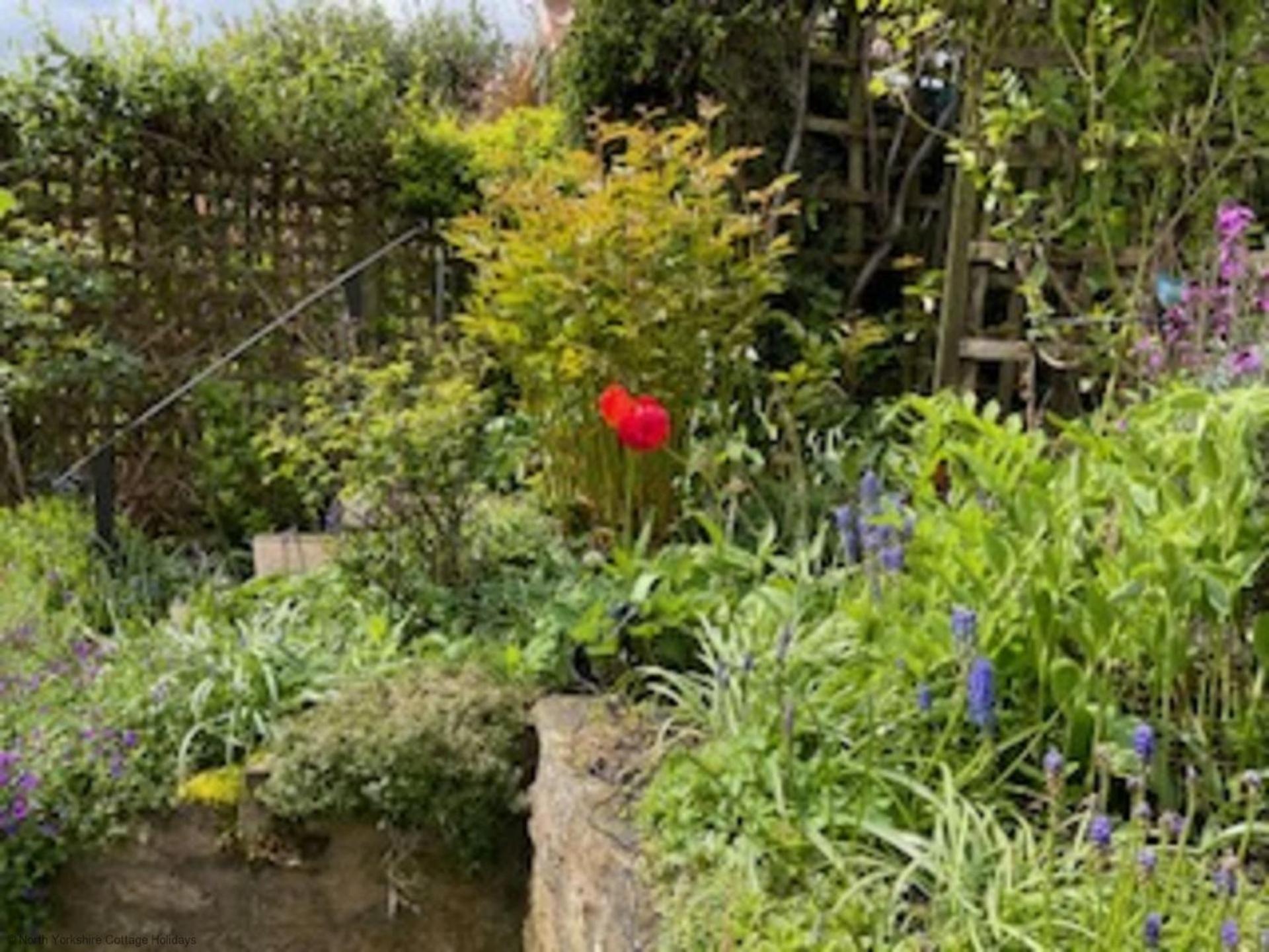 Holiday home Picturesque Stone In The Heart Of North Yorkshire Village - Hideaway