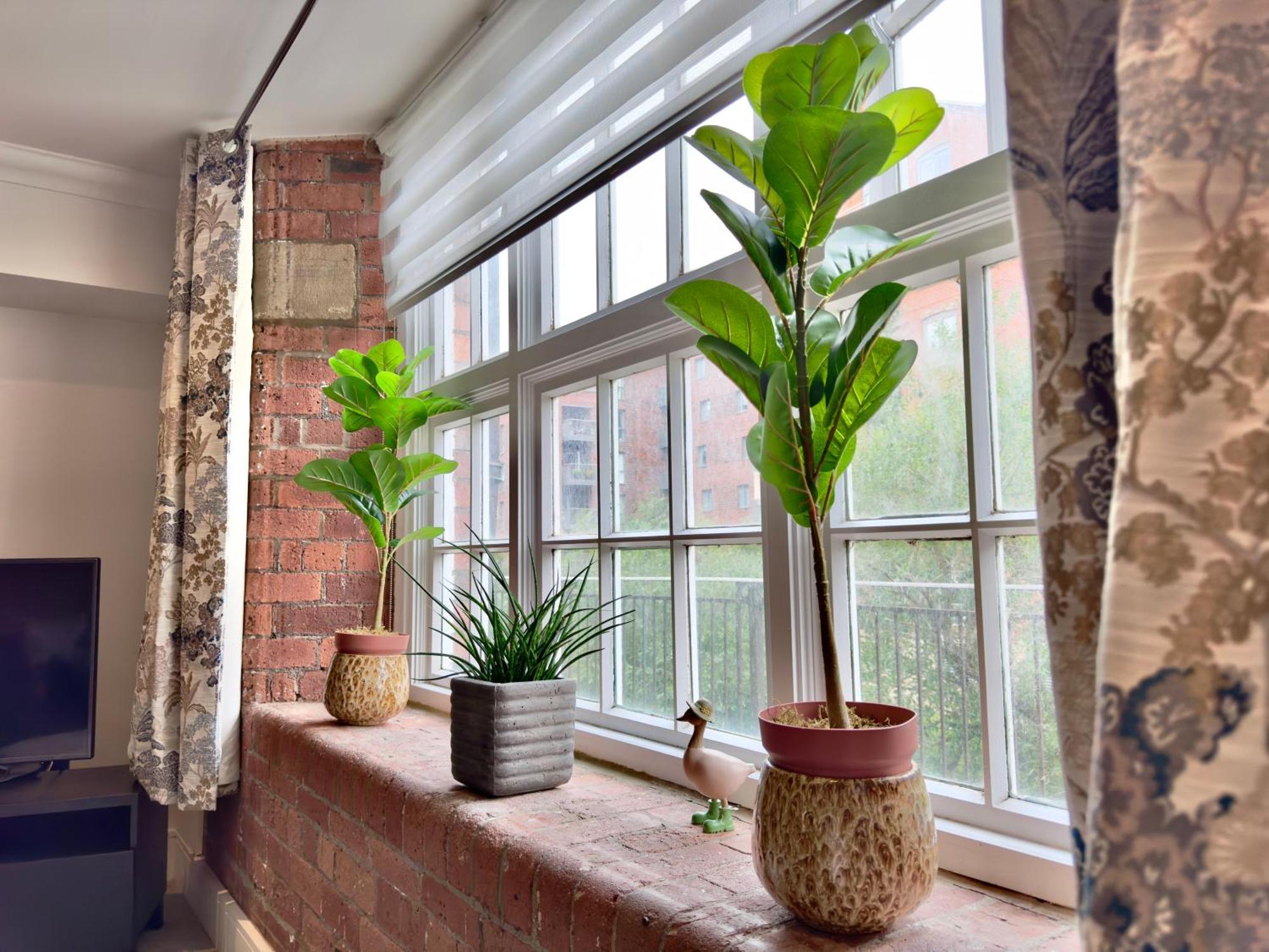 61 Cocoa Apartment York