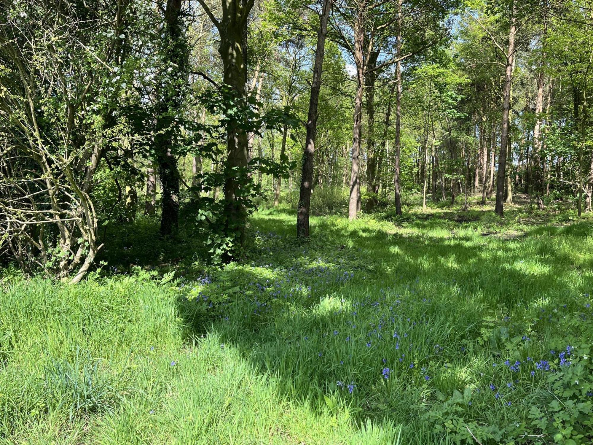 Cedar Boutique Lodge-dog Fishing And Access Holiday home *