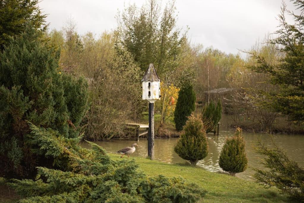 Villa Harvest 8 Lodge, Yellowtop Country Park *