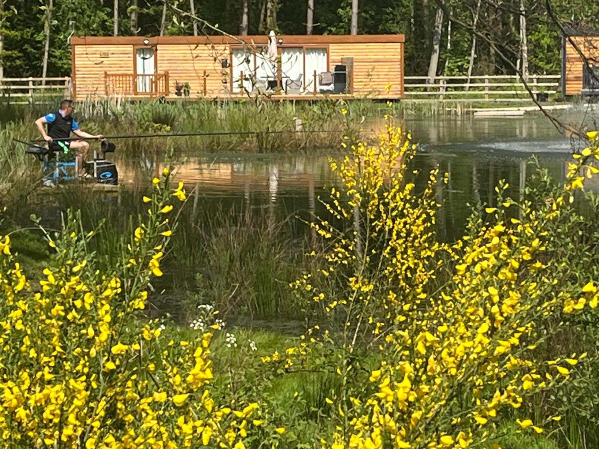 Holiday home Rowan Boutique For Couples With A Dog *