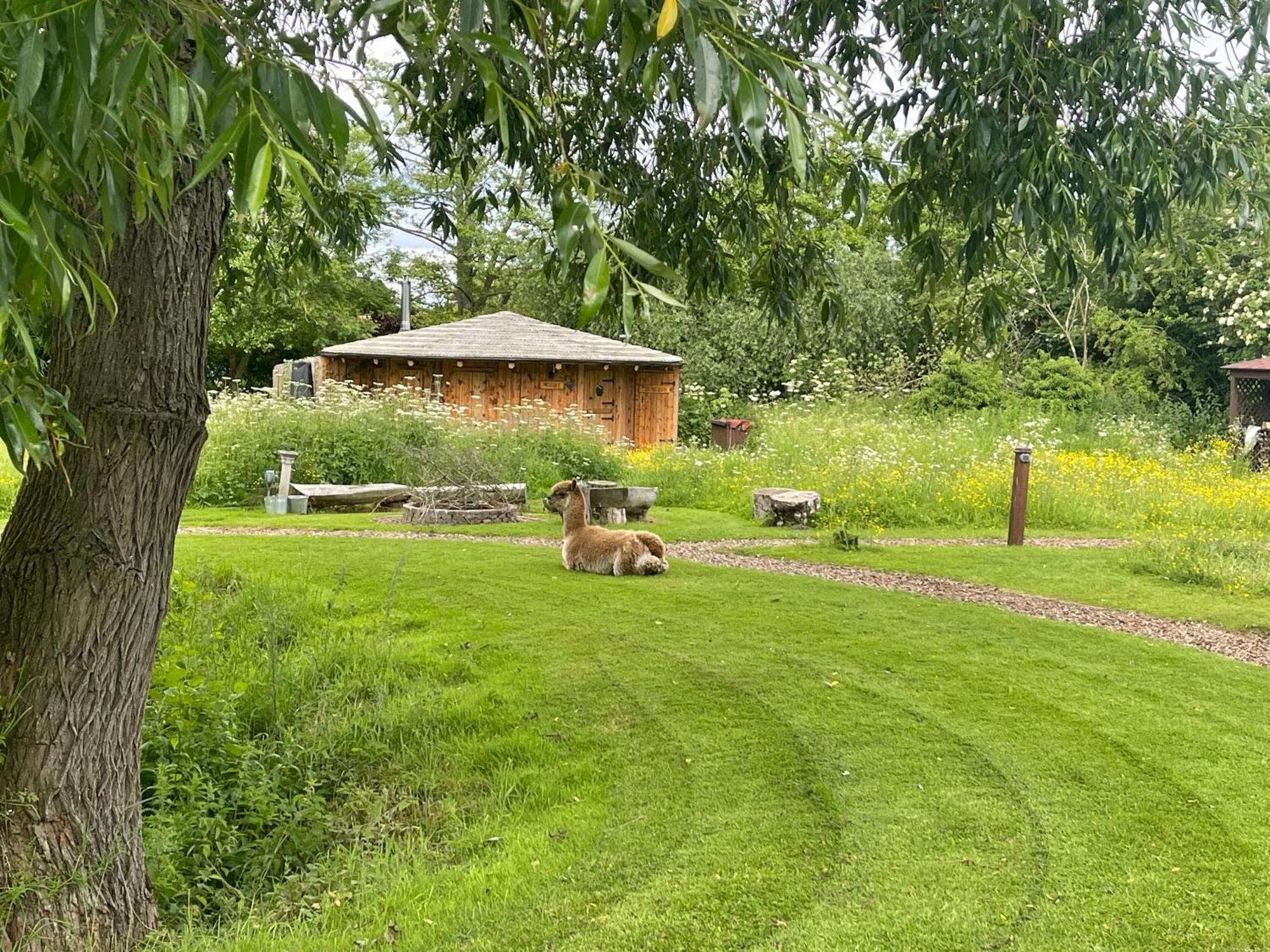 Acorn Glade Glamping * York