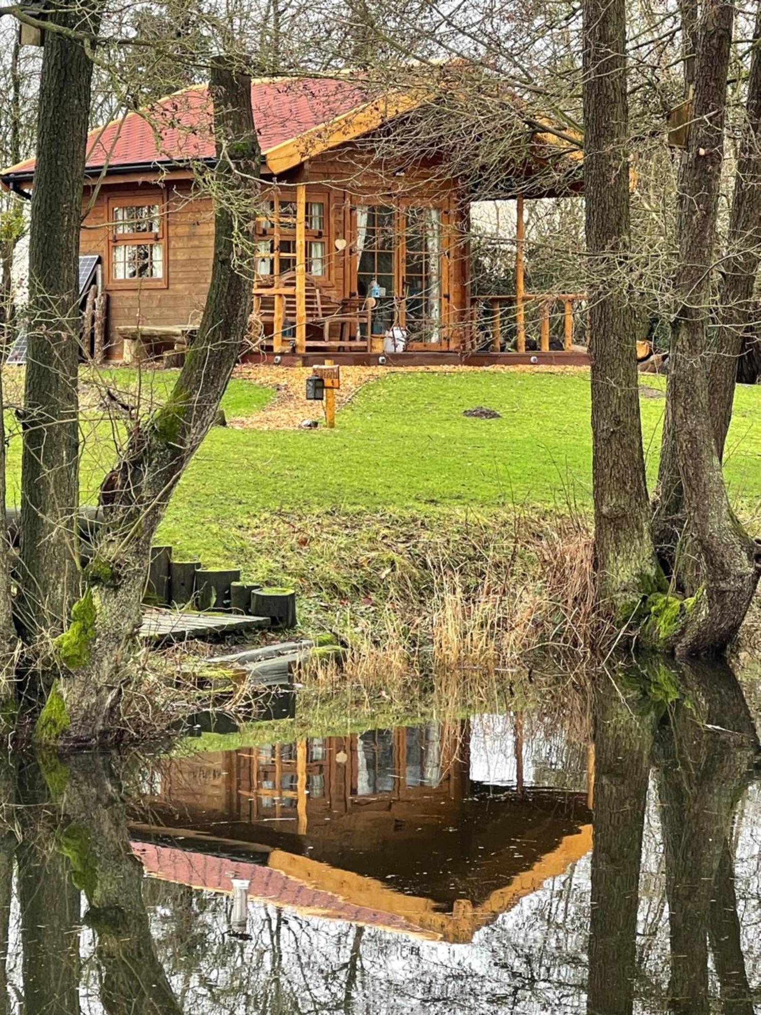 Acorn Glade Glamping Lodge *