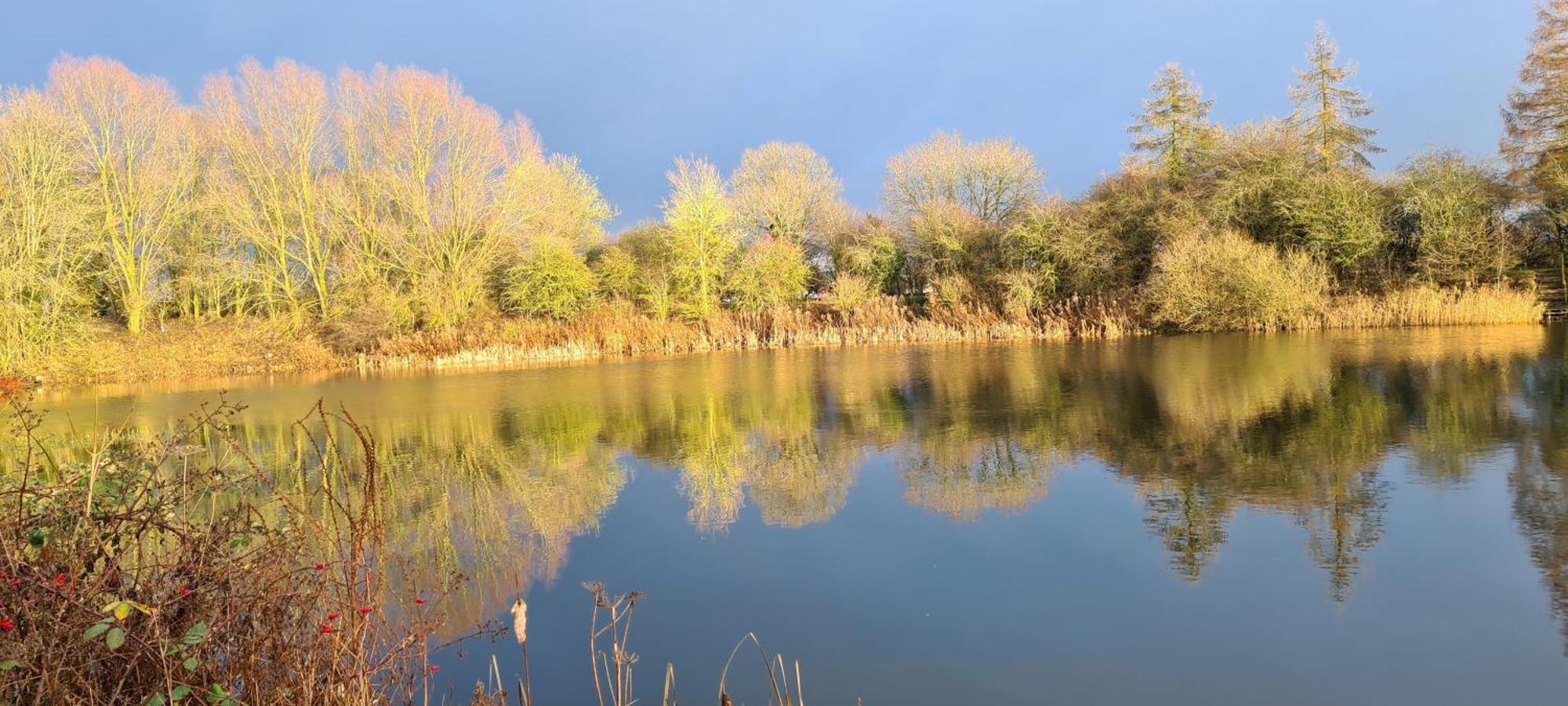 'little Grebe' - Secluded Rustic - Fishermans Delight. Chalet