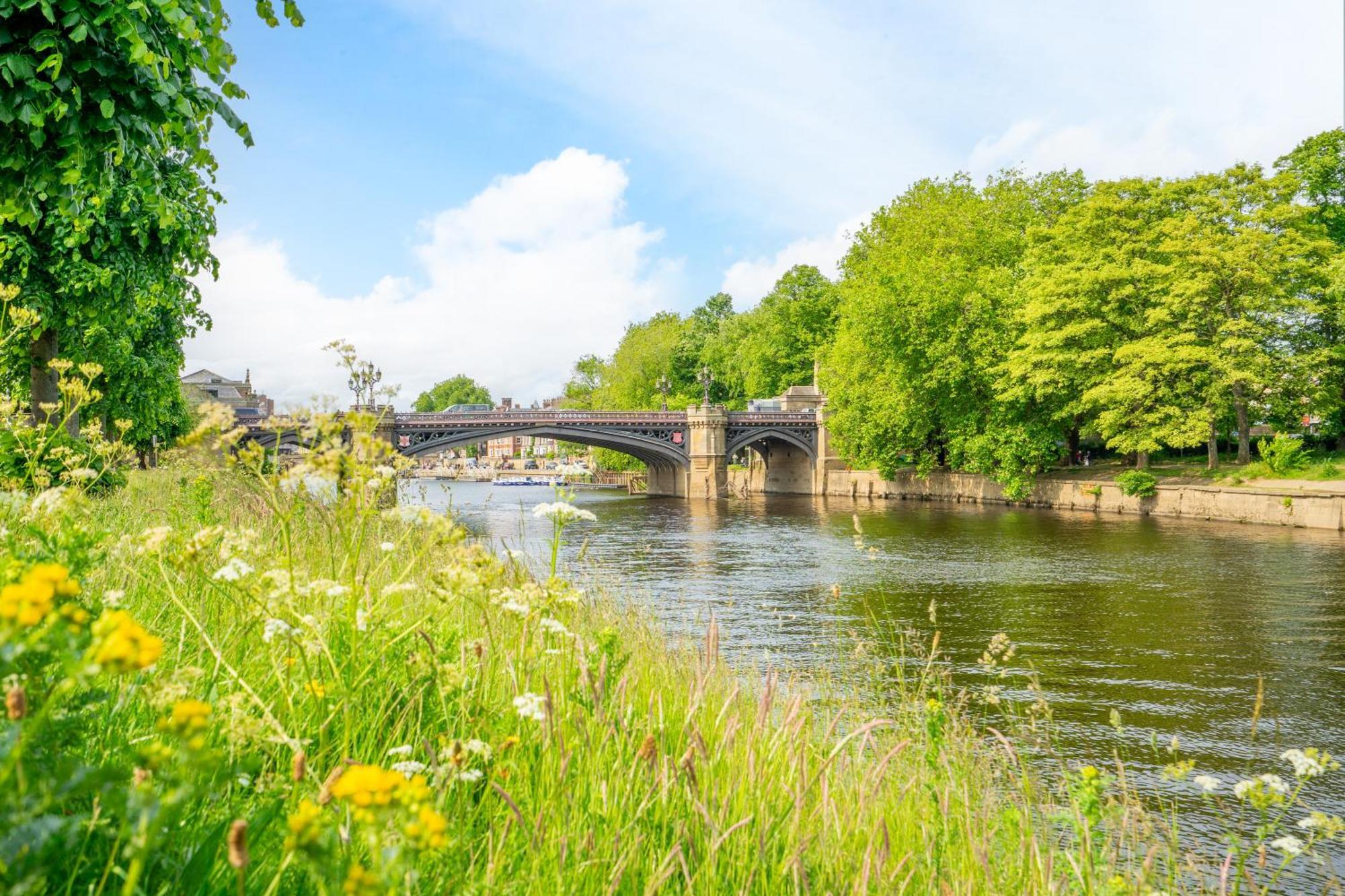 Paradise * York