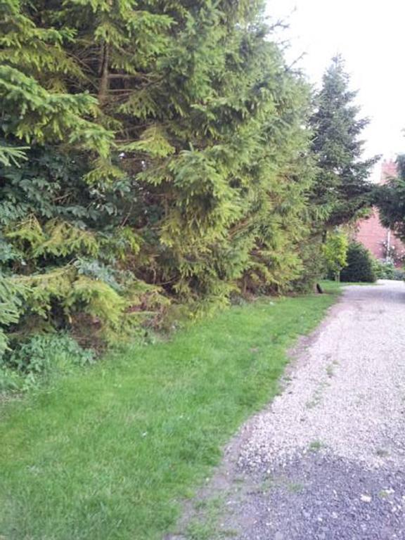 Wolds Glamping