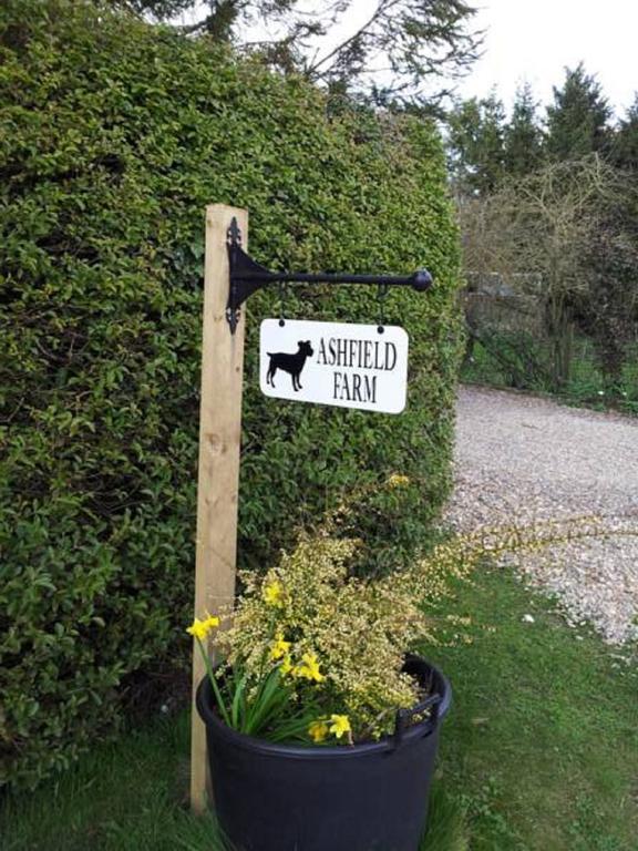Wolds Glamping Campsite 3*