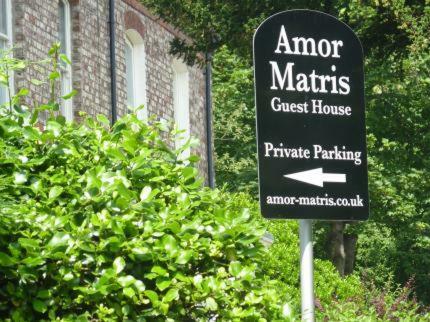 Amor Matris * York