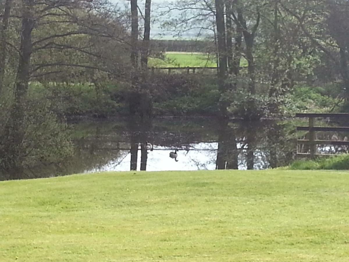 Waterside *