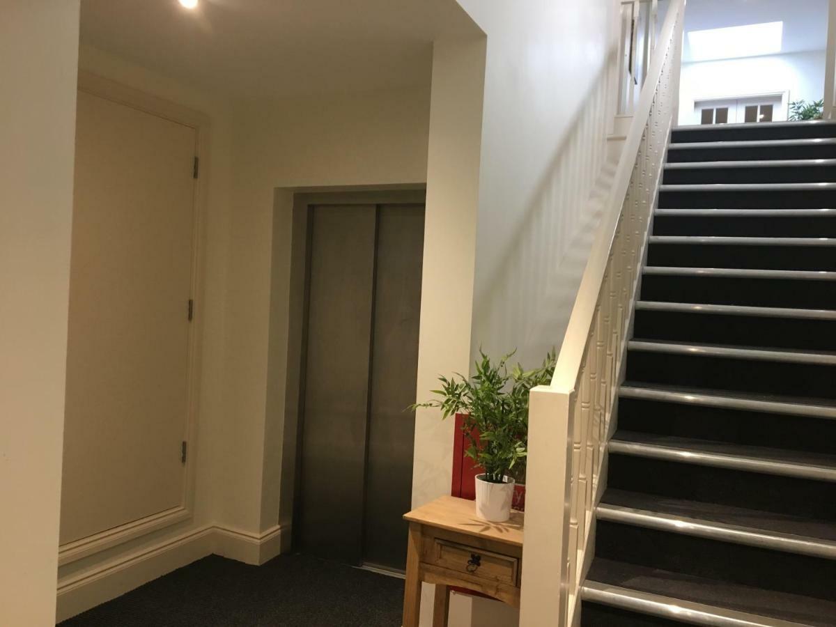 Star Tree Apartment York