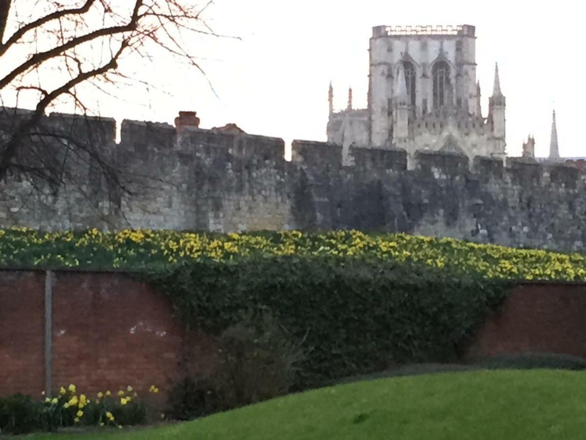 The Old Nurses York