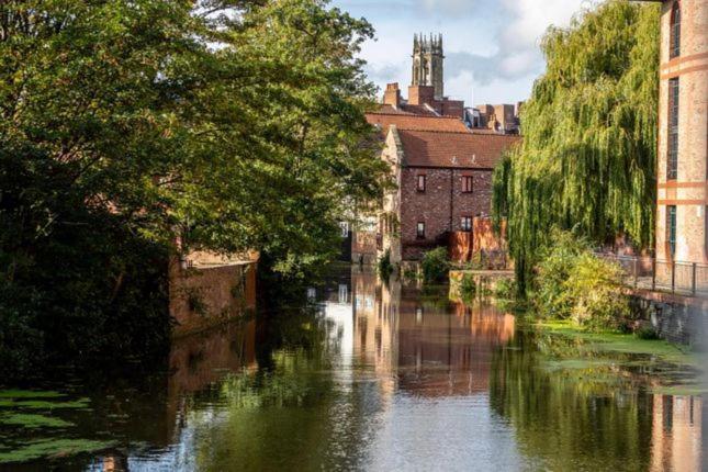 Cocoa Lily - River Fronted With Secure Parking York