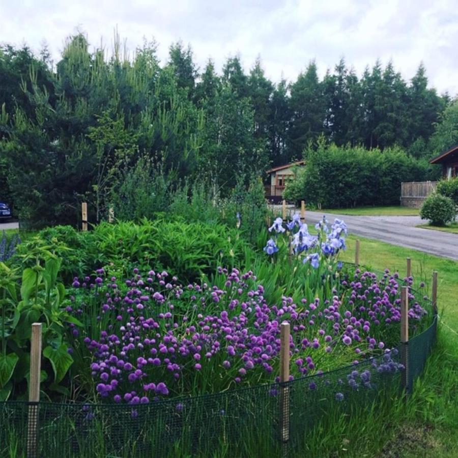 Hollicarrs - Forest Retreat Lodge